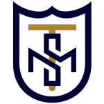 TSM-e1717570660145-300x300